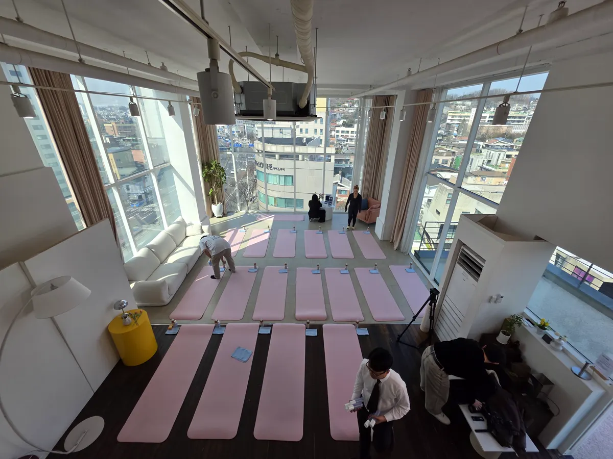 Yoga mats arranged in the bright studio